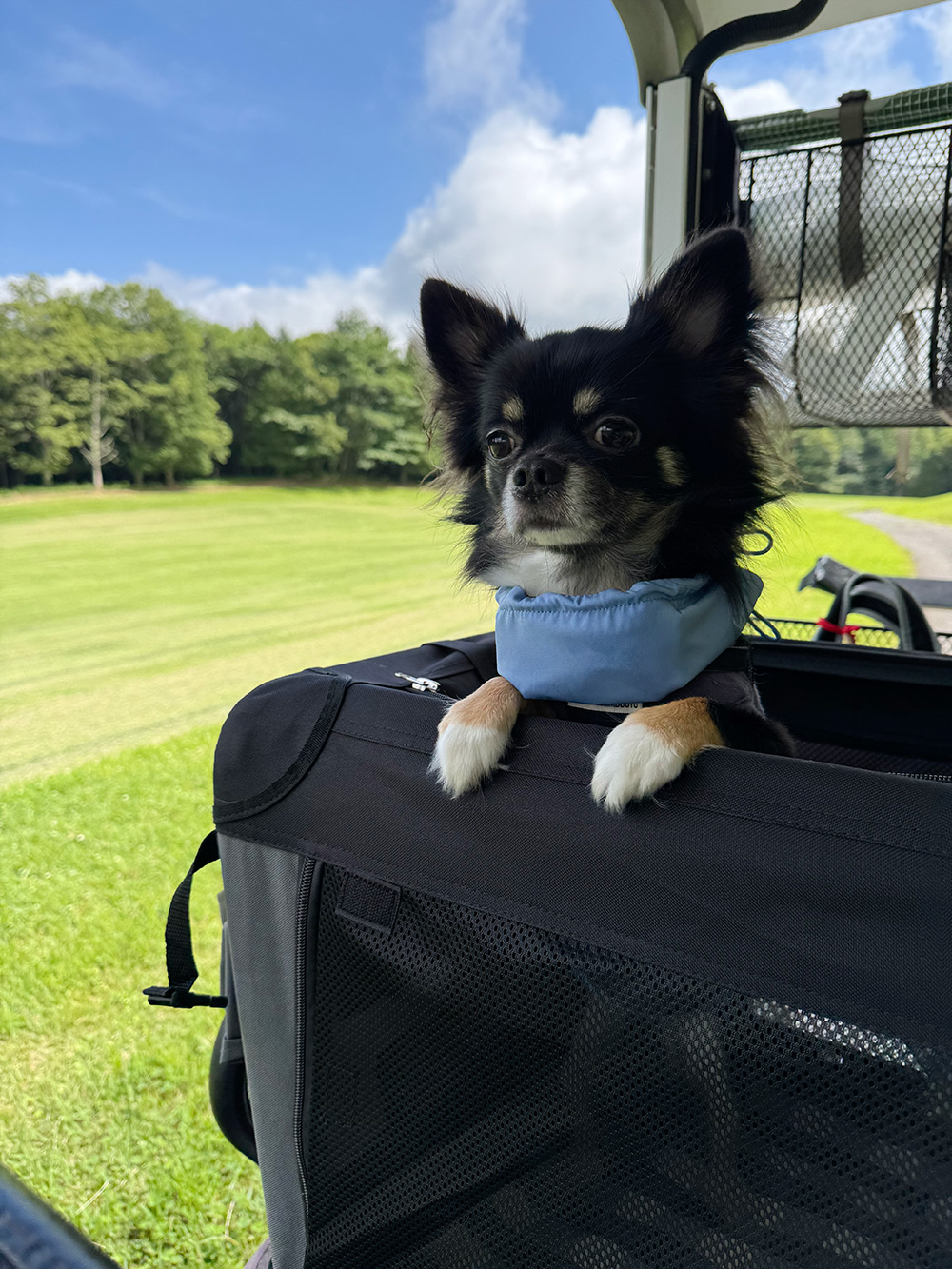 上半期準グランプリ　ネロくん