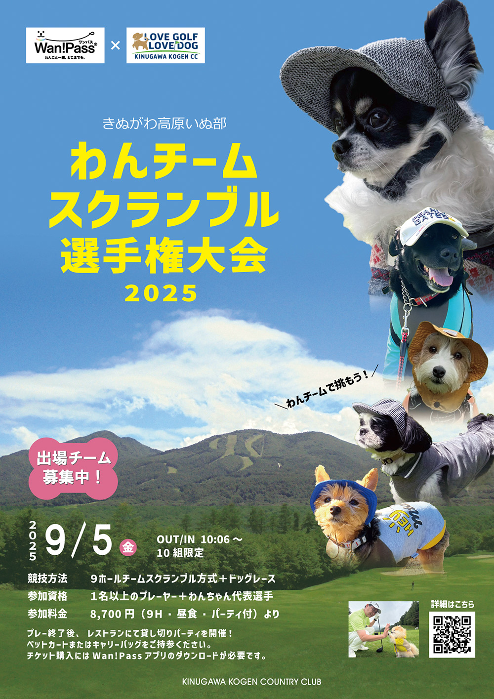 わんチームスクランブル選手大会